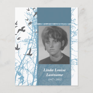 cartões de memória de aves silhuscreen