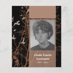 cartões de memória de aves silhuscreen