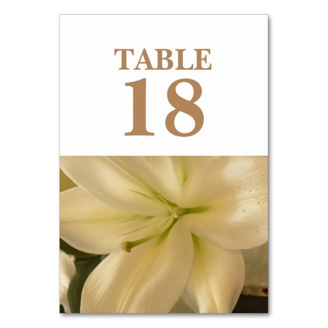 Cartões de Mesa de Casamento Floral Branco (Frente)
