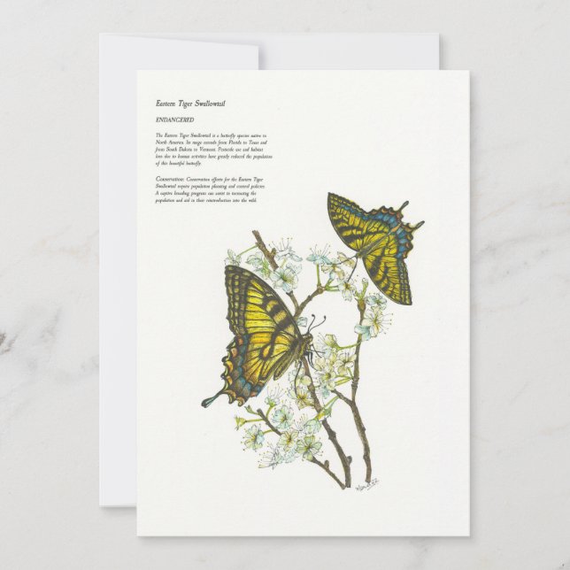 Cartões de natal (Frente)