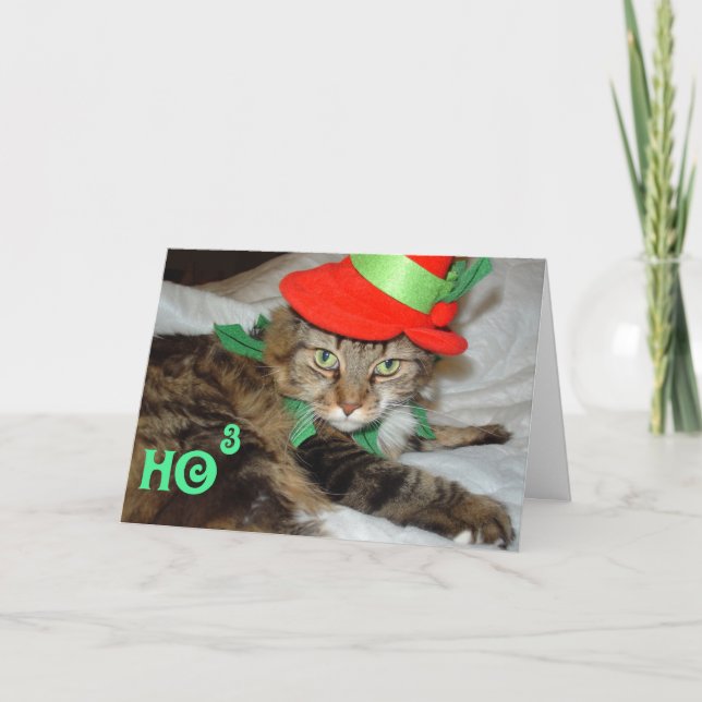 cartões de natal (Frente)