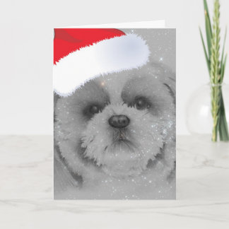 Cartões de natal