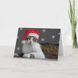 Cartões de Natal