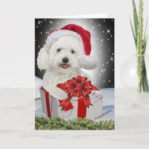 Cartões de Natal Bichon