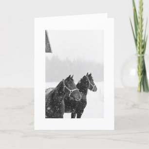 Cartões de natal Cavalos de Neve Natal Equina Nata
