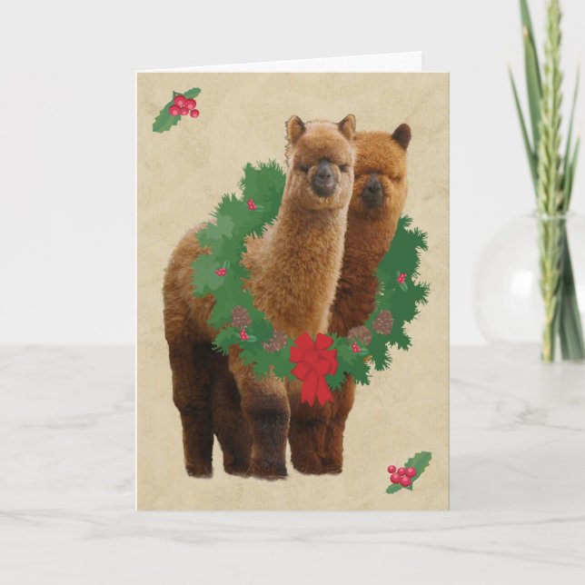 Cartões de Natal da alpaca (Frente)