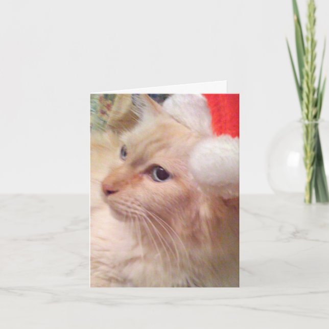 Cartões de Natal da manutenção programada do gato (Frente)