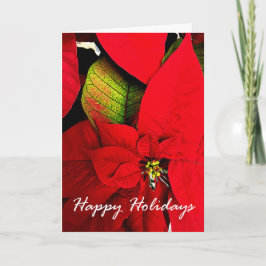 Cartões de natal da poinsétia