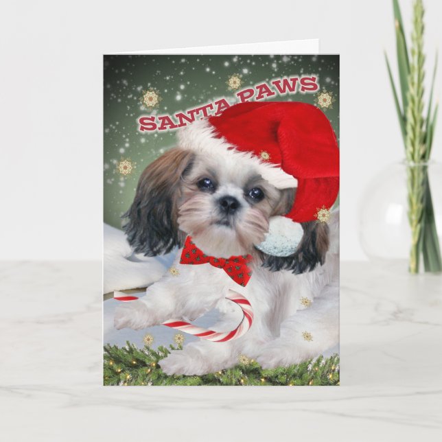 Cartões de Natal das patas do papai noel de Shih (Frente)