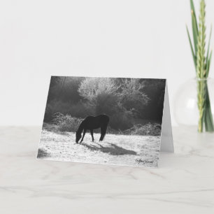 Cartões de Natal de 2012