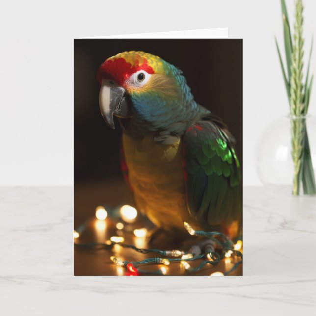Cartões de natal de papagaio (Frente)