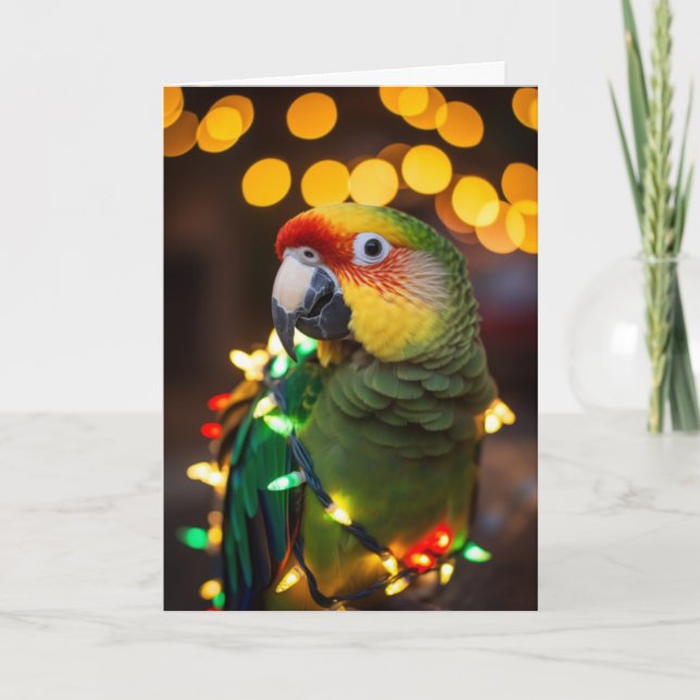 Cartões de natal de papagaio (Frente)