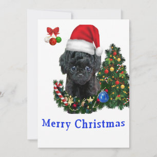Cartões de Natal de Poodle