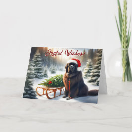Cartões de Natal de Recém-Terras de Cachorro