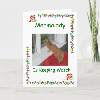 Cartões de Natal de Salvamento da Marmalady Cat