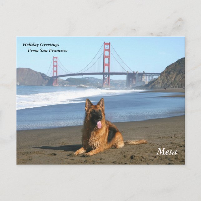Cartões de natal de San Francisco (Frente)