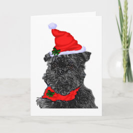 Cartões de natal do Affenpinscher