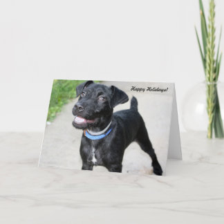 Cartões de natal do "elogio feriado "