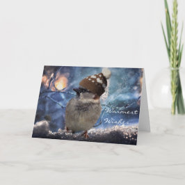 Cartões de Natal do feriado da natureza do pássaro