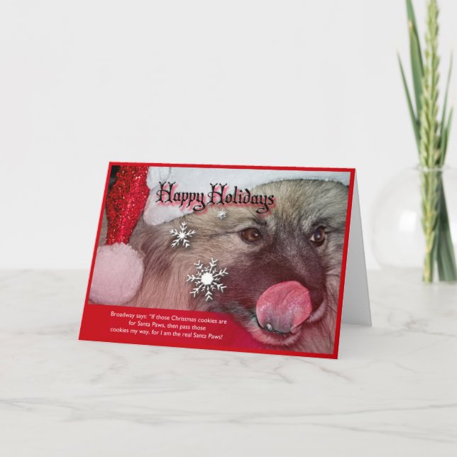 cartões de Natal do keeshond (Frente)
