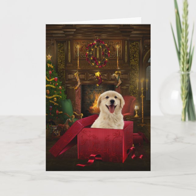 Cartões de Natal do Labrador Golden Retriever (Frente)