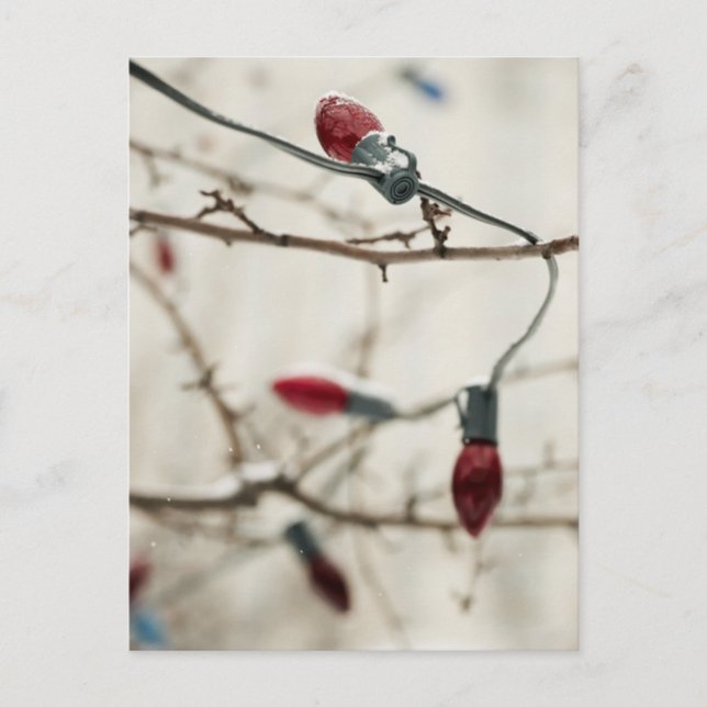 Cartões de Natal e adesivos (Frente)