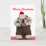 Cartões de Natal engraçados e bonitos para Buldogu<br><div class="desc">Engraçado Bulldog vestindo chapéu de Papai Noel, casaco e cachecol. Um cartão fotográfico de Natal que todos os seus amigos adoram, especialmente todos os fãs de buldocos. A mensagem de Natal pode ser personalizada. Outra imagem original de um dos melhores fotógrafos de cães do país. Sam Allen fotografa cães e...</div>