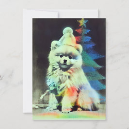 Cartões de Natal exclusivos de Pomerânia