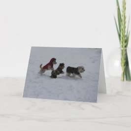 Cartões de natal Frolicking dos amigos