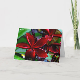 Cartões de Natal havaianos