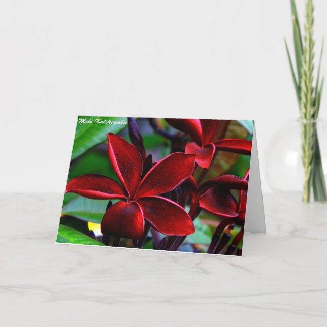 Cartões de Natal havaianos (Frente)