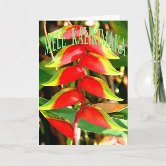 Cartões de Natal havaianos (Frente)