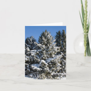 Cartões de Natal Paisagem