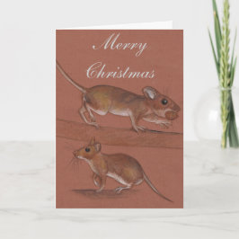 Cartões de Natal para animais selvagens britânicos