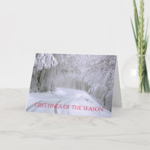 Cartões de Natal Personalizados de Estrada Nevada