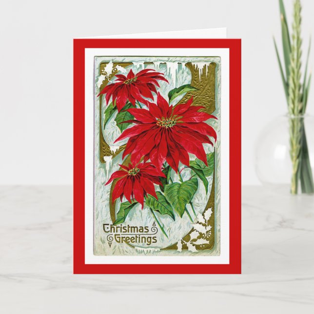 Cartões de natal Pointsettia (Frente)