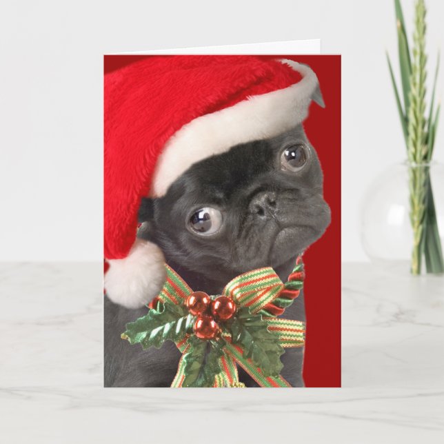 Cartões de Natal Pug (Frente)
