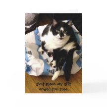 Cartões de Natal Purr-Efeito De Gato Bonito