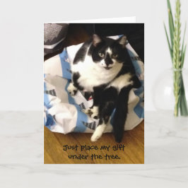 Cartões de Natal Purr-Efeito De Gato Bonito