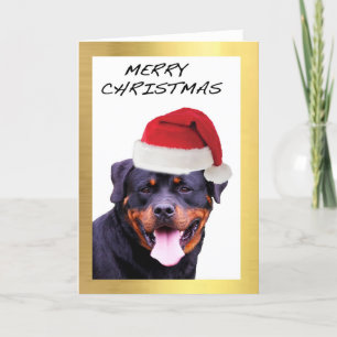 Cartões de Natal "Rottweiler" design