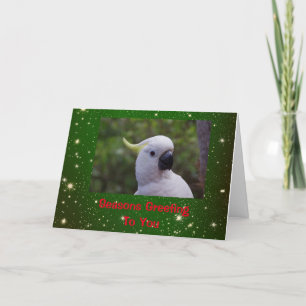 Cartões de Natal Saudáveis com Cockatoo