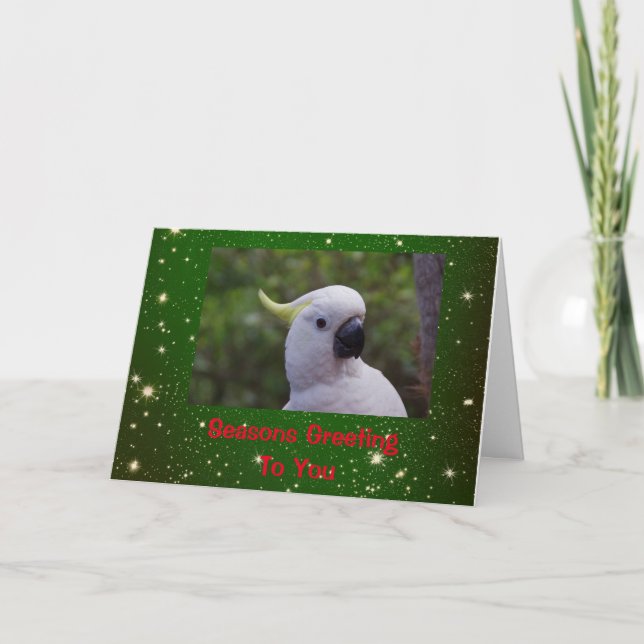 Cartões de Natal Saudáveis com Cockatoo (Frente)