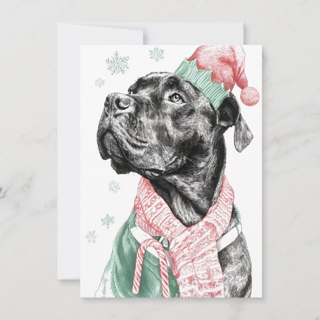 Cartões de Natal Únicos para Cães (Frente)