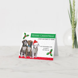 Cartões de Natal Veterinários, Cão