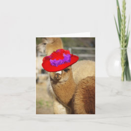 Cartões de Nota Alpaca Cutis