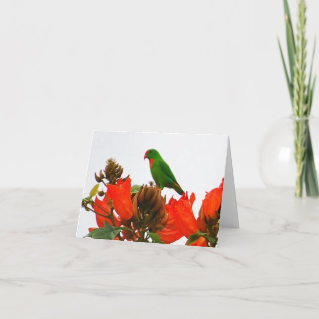 Cartões de nota com o papagaio exótico em flores (Frente)