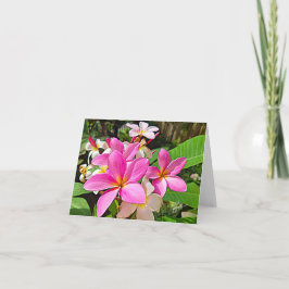 Cartões de nota cor-de-rosa perfeitos do Plumeria