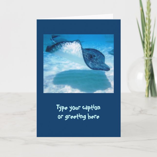 Cartões de nota da arraia-lixa (Frente)