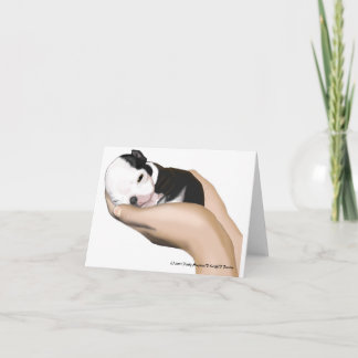 Cartões de nota da mitra do bebê