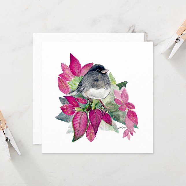 Cartões De Nota De Aquarela Lindo Junco (Beautiful Watercolor Colored Pencil Dark-Eyed Junco Blank Square Note Cards from Jenn Steffen Art)